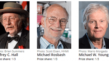 Nobel Prize in Physiology or Medicine 2017